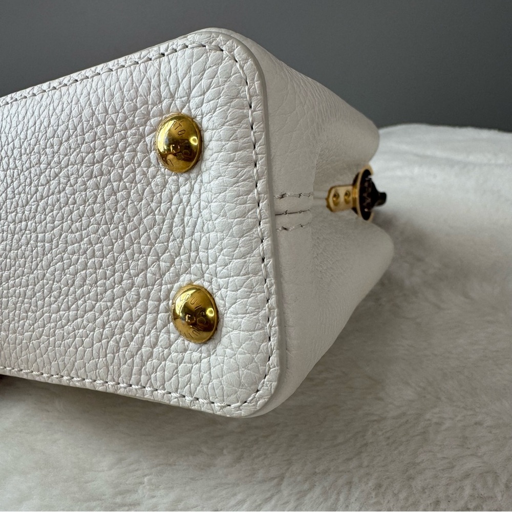 Louis Vuitton Taurillon & Python Leather Capucines Mini Handbag - Picture 10 of 16